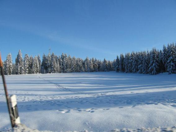 Ferienwohnung Bodehexe 2 Braunlage Eksteriør billede
